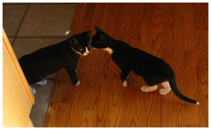 Checking each other out