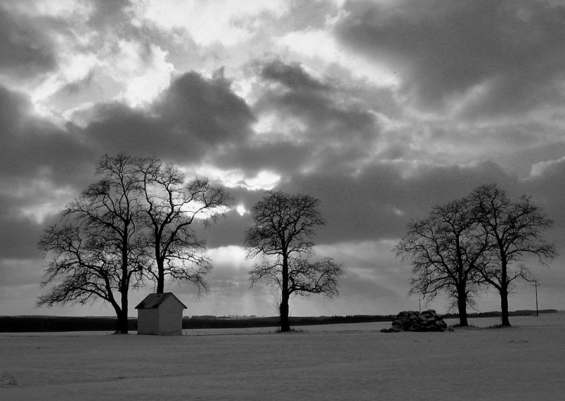 Sky, Trees, Shrine