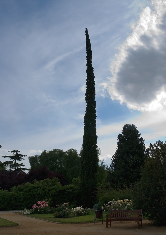 In Parc Cervantes