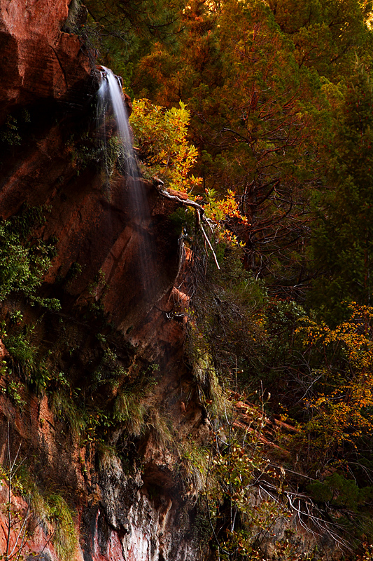 Cascading Light