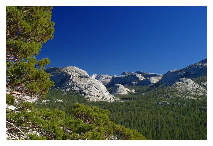Yosemite, Tioga Pass Road