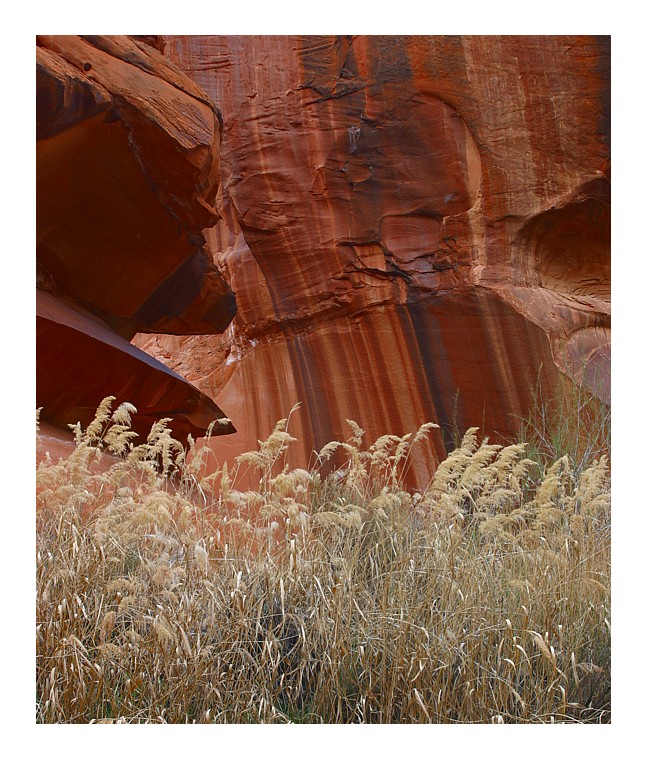 Coyote Gulch