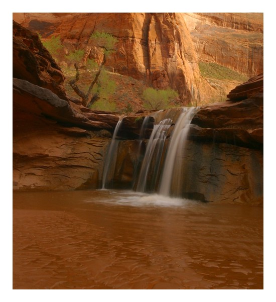 Falls Coyote Gulch