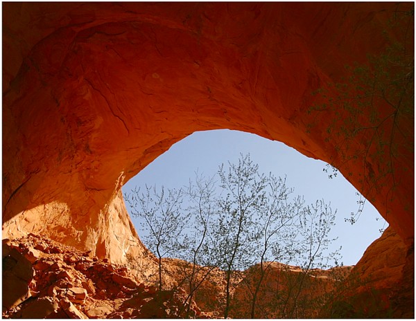 Jacob Hamblin Arch