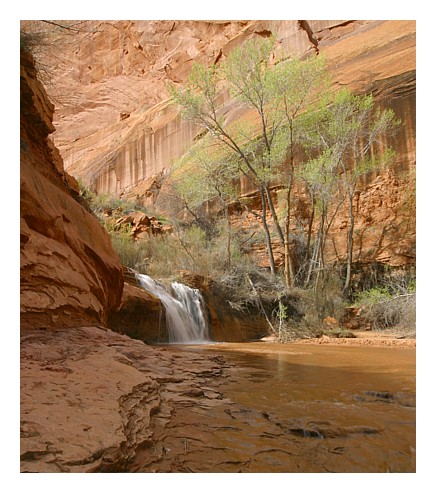 Falls III Coyote Gulch