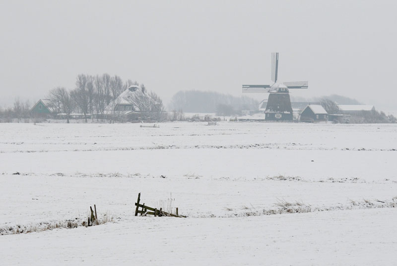 Winter   Windmill