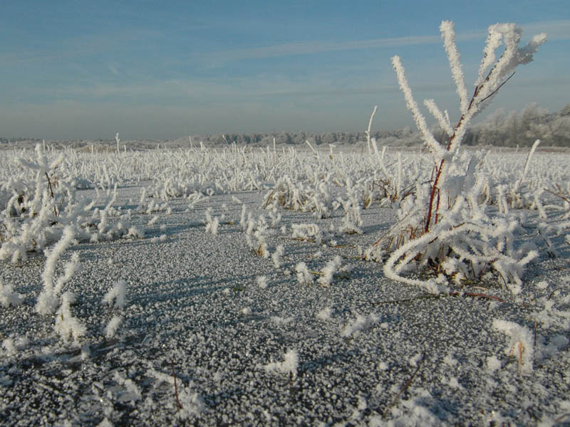 wintry-landscape