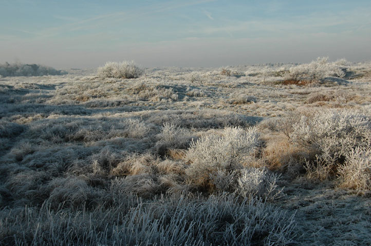 dunes in white frost