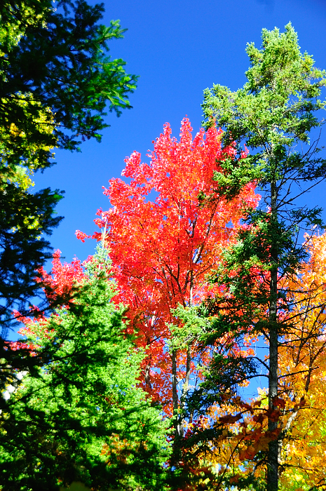 ALQ  0289 Sept 2012.JPG