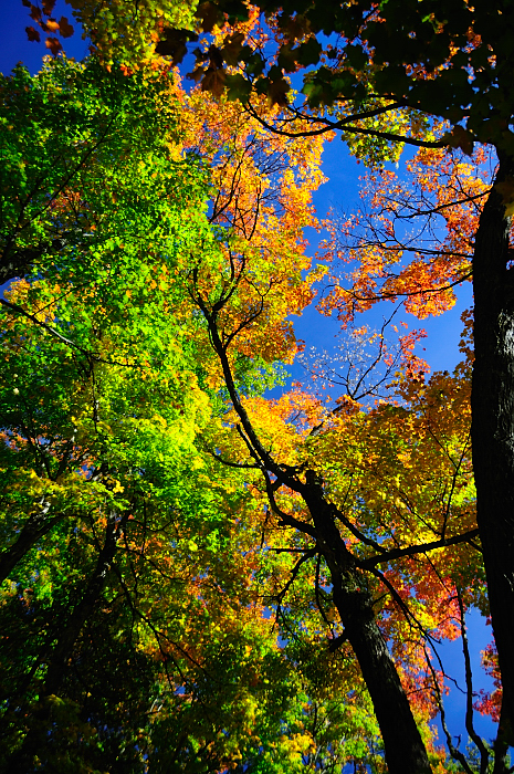 ALQ  0311 Sept 2012.JPG