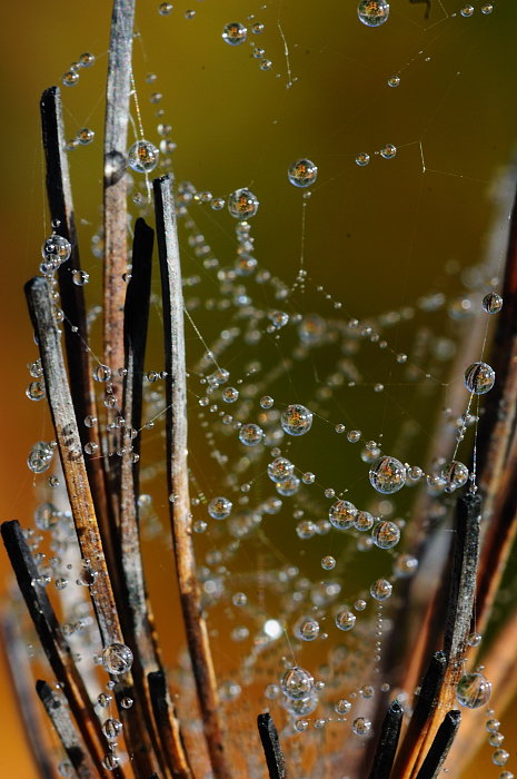 ALQ  0441 Sept 2012.JPG