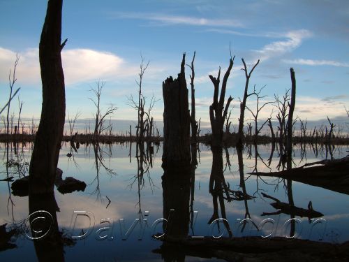 Lake Mulwalla03.JPG