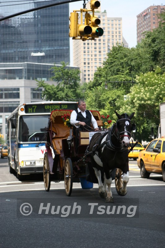 City cowboy