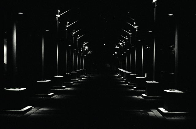 Light