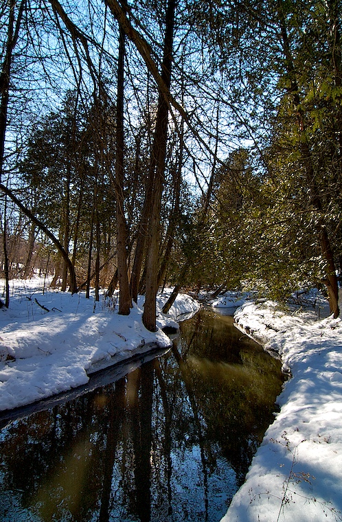 Winter Afternoon