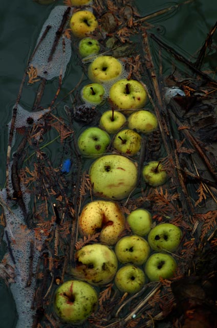 DSCF3861.jpg