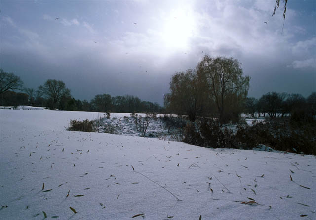 251117a.jpg