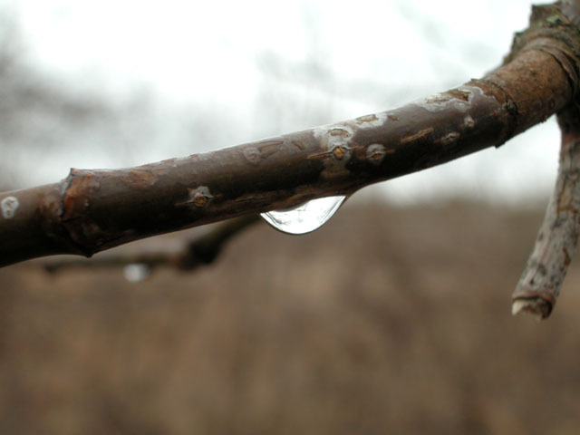 DSCN0145.jpg