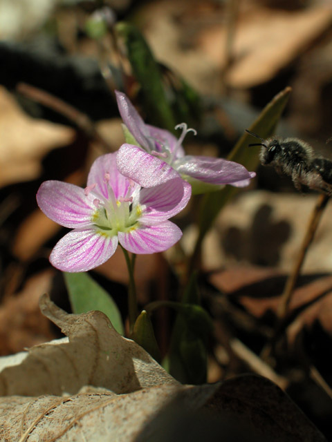 DSCN0282.jpg