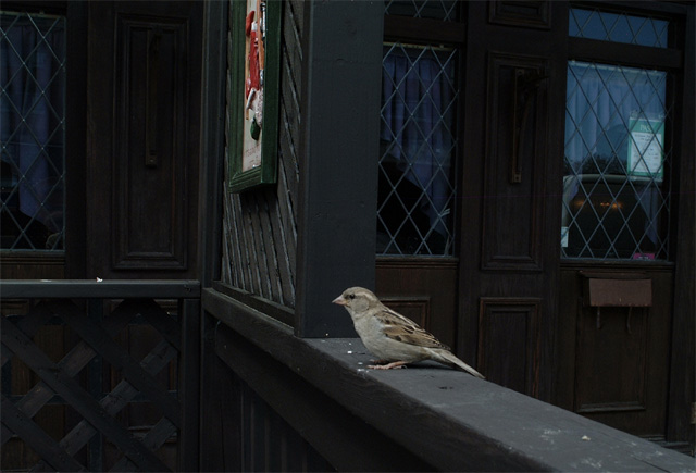 DSCF4326c.jpg