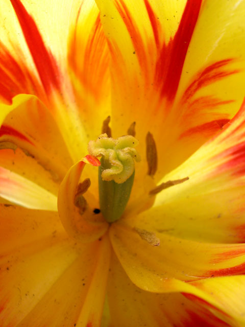 DSCN0531.jpg
