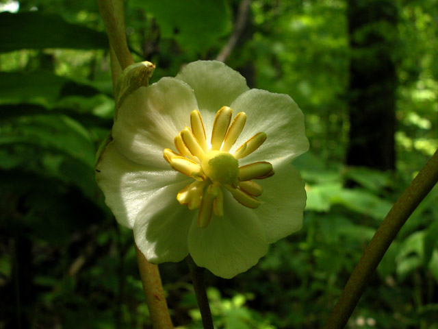 DSCN0545.jpg