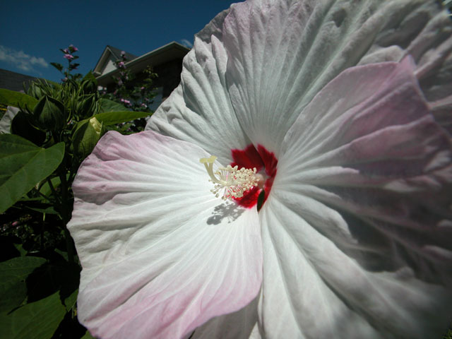 DSCN0839.jpg