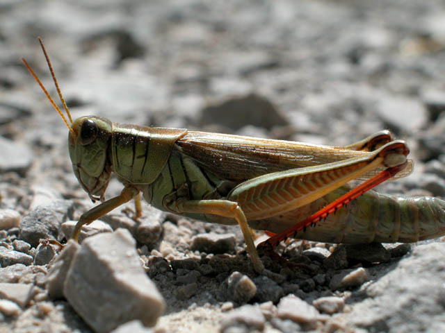 DSCN0921.jpg