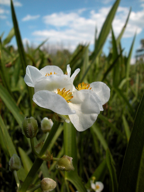 DSCN1034.jpg