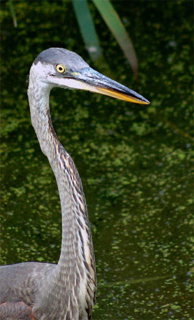 19082006b.jpg