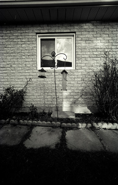 Bird feeders