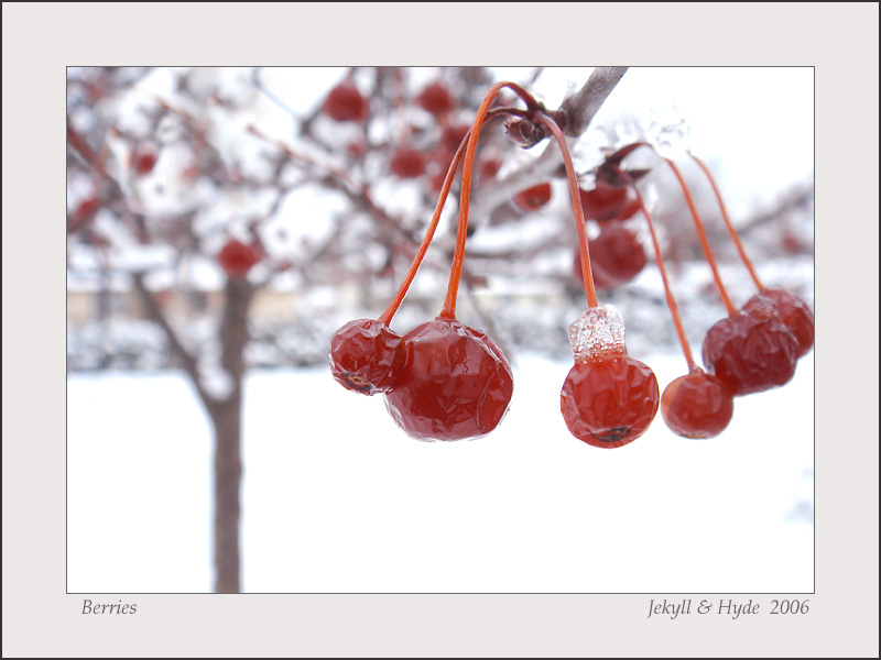 Berries