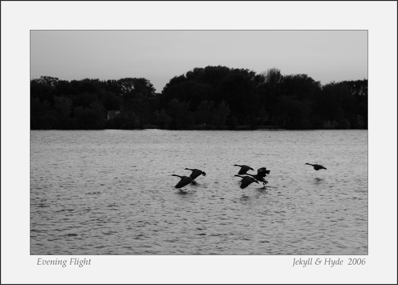 Evening Flight