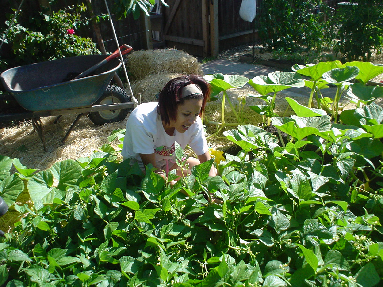 Kenya in her garden