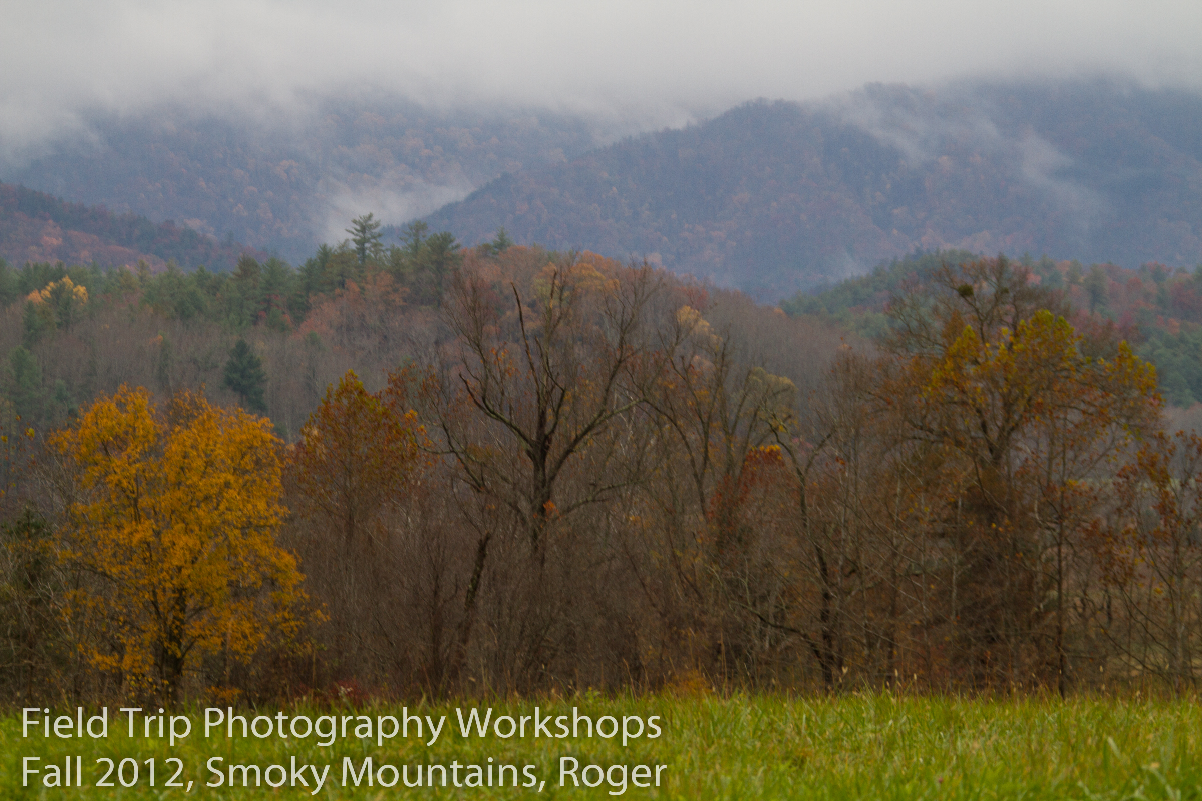 Roger Gatlinburg Workshop-3.jpg
