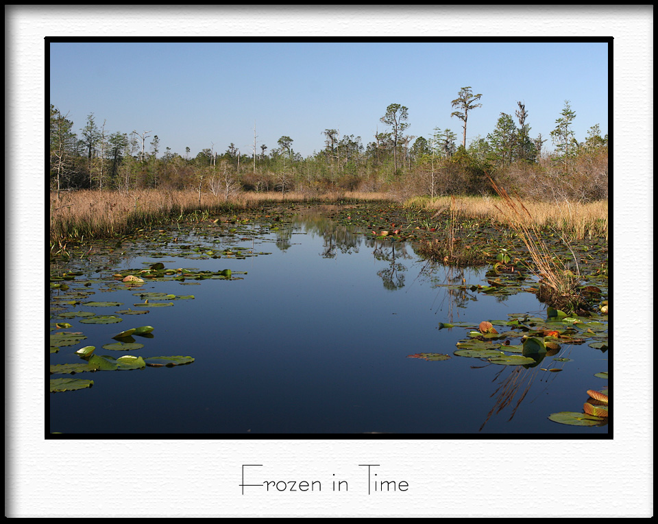 aIMG_0213.jpg