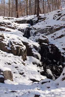 Snow in SM Reservation  05.jpg