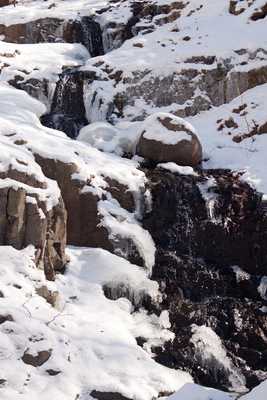 Snow in SM Reservation  06.jpg