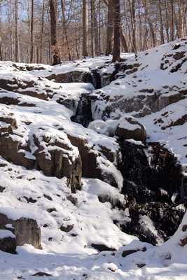 Snow in SM Reservation  07.jpg
