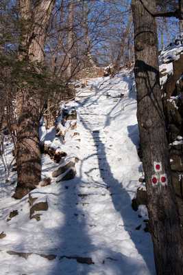 Snow in SM Reservation  17.jpg