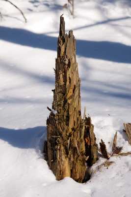 Snow in SM Reservation  18.jpg