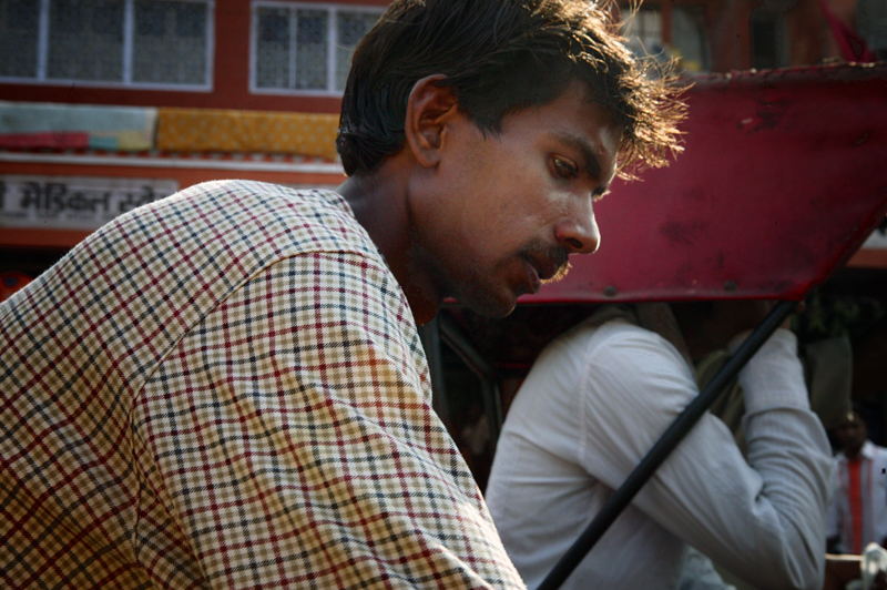 Cycle rickshaw driver, Jaipur.