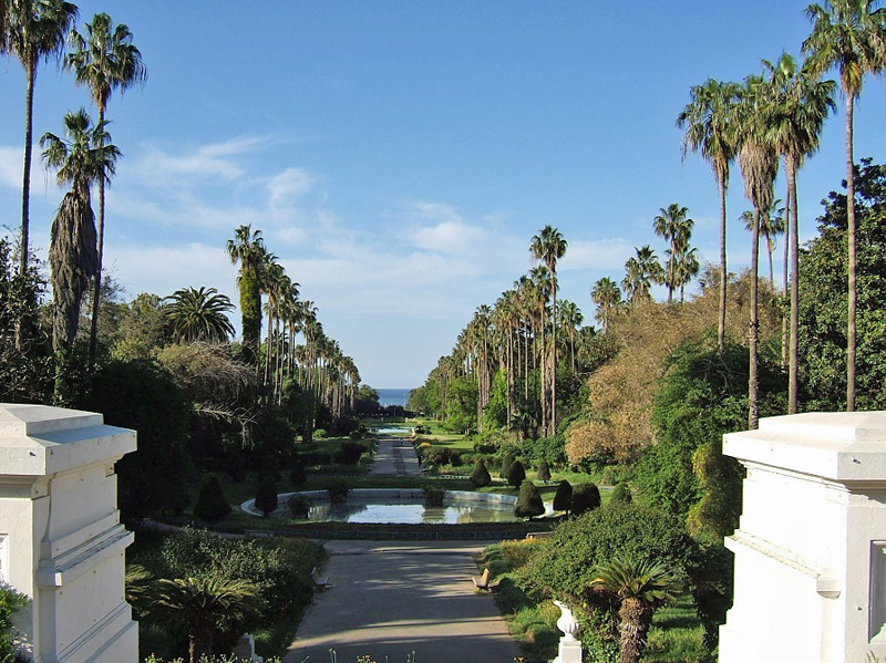 Algrie - Alger - jardin dessais