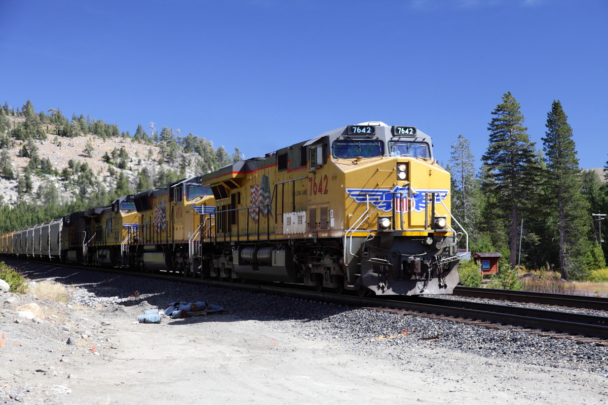 _MG_6260.JPG