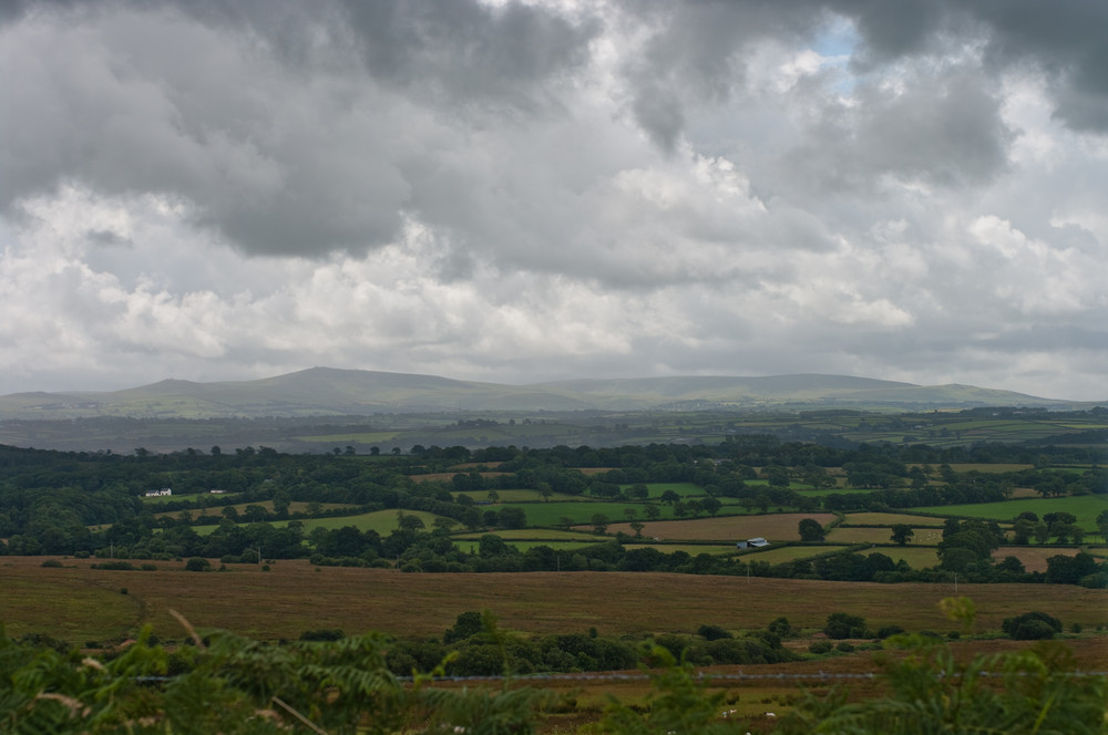  A view