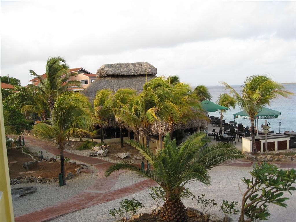 Buddys Dive Resort