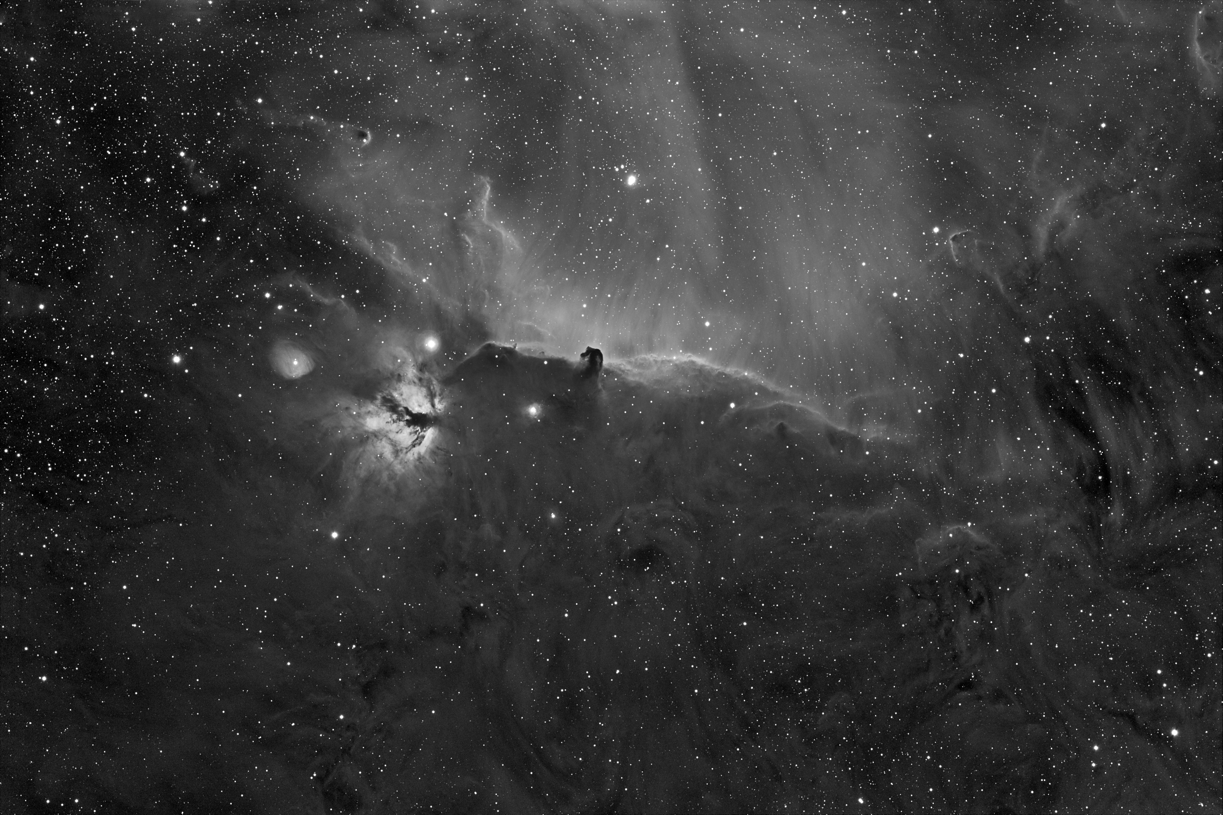 Horse Head Nebula