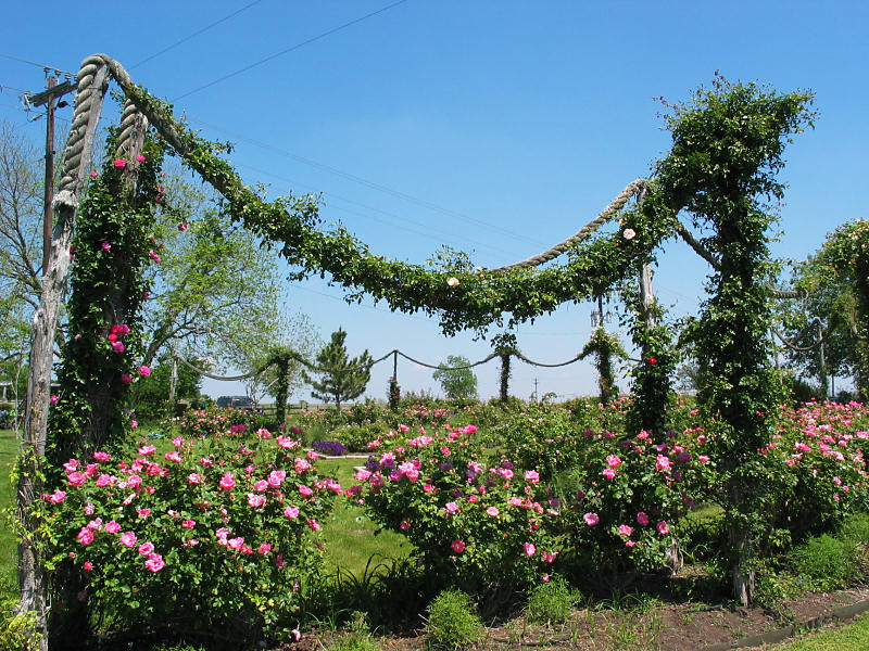 Big Garland