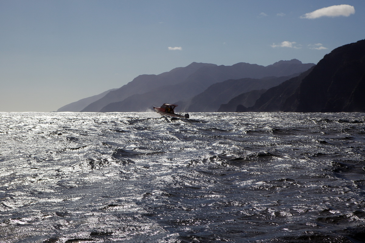 Off Breaksea, Fiordland