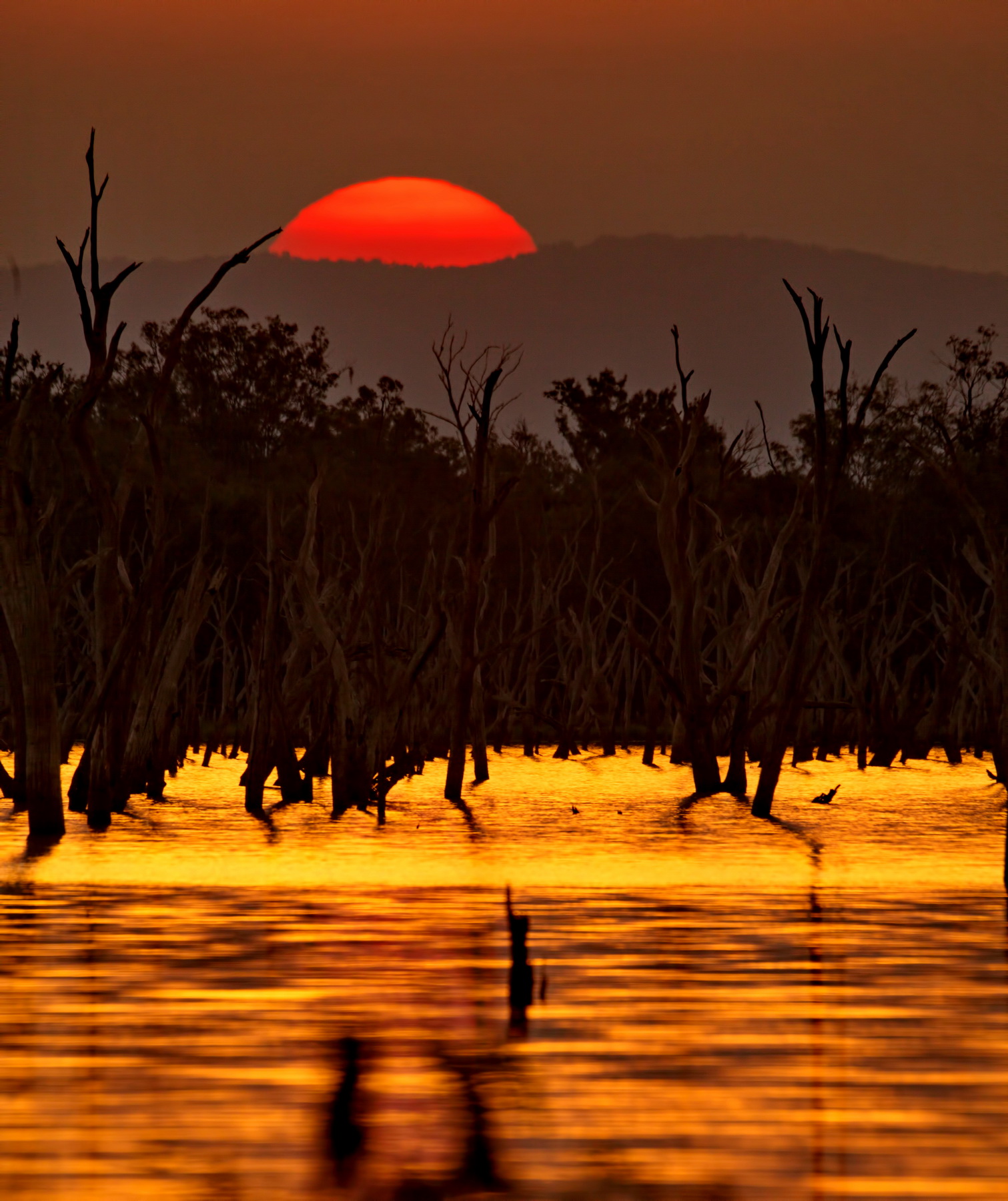 Lake Nuga Nuga Sunset